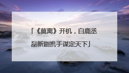 《莫离》开机，白鹿丞磊新剧携手谋定天下