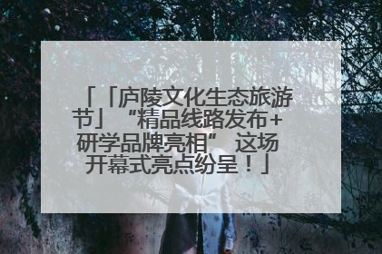 「庐陵文化生态旅游节」“精品线路发布+研学品牌亮相” 这场开幕式亮点纷呈！