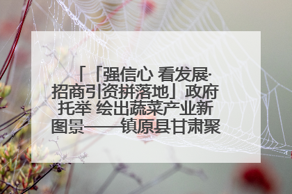 「强信心 看发展·招商引资拼落地」政府托举 绘出蔬菜产业新图景——镇原县甘肃聚广利现代设施蔬菜种植基地见闻