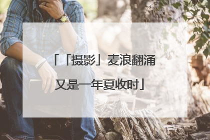 「摄影」麦浪翻涌 又是一年夏收时
