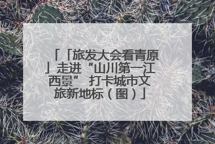 「旅发大会看青原」走进“山川第一江西景” 打卡城市文旅新地标（图）