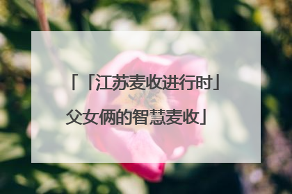 「江苏麦收进行时」父女俩的智慧麦收