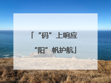 “码”上响应 “阳”帆护航