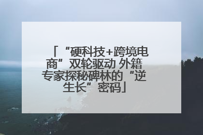 “硬科技+跨境电商”双轮驱动 外籍专家探秘碑林的“逆生长”密码
