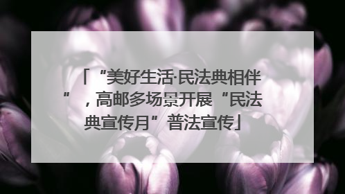 “美好生活·民法典相伴”，高邮多场景开展“民法典宣传月”普法宣传