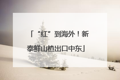 “红”到海外！新泰鲜山楂出口中东