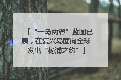 “一岛两翼”蓝图已展，在复兴岛面向全球发出“杨浦之约”