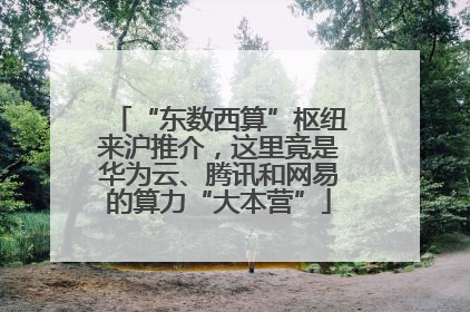 “东数西算”枢纽来沪推介，这里竟是华为云、腾讯和网易的算力“大本营”