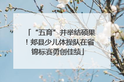 “五育”并举结硕果！郏县少儿体操队在省锦标赛勇创佳绩