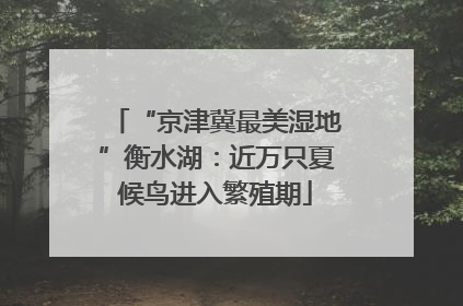 “京津冀最美湿地”衡水湖：近万只夏候鸟进入繁殖期