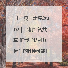 “县”定爆款107｜“机”智共享 解锁“特种兵团”的N种可能