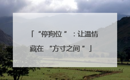 “停狗位 ”：让温情藏在 “方寸之间 ”