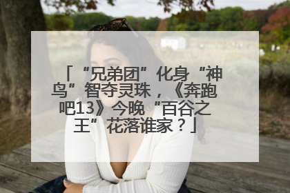“兄弟团”化身“神鸟”智夺灵珠，《奔跑吧13》今晚“百谷之王”花落谁家？