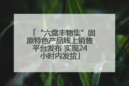 “六盘丰物集”固原特色产品线上销售平台发布 实现24小时内发货