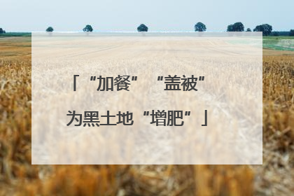 “加餐”“盖被” 为黑土地“增肥”