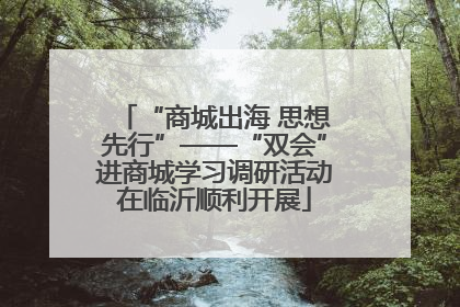 “商城出海 思想先行”——“双会”进商城学习调研活动在临沂顺利开展