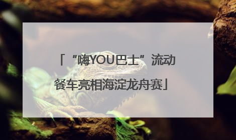 “嗨YOU巴士”流动餐车亮相海淀龙舟赛