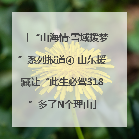 “山海情·雪域援梦”系列报道④ 山东援藏让“此生必驾318”多了N个理由