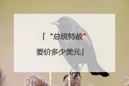 “总统特赦”要价多少美元