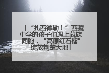 “扎西德勒！”西藏中学的孩子们遇上藏族同胞，“高原红石榴”绽放荆楚大地