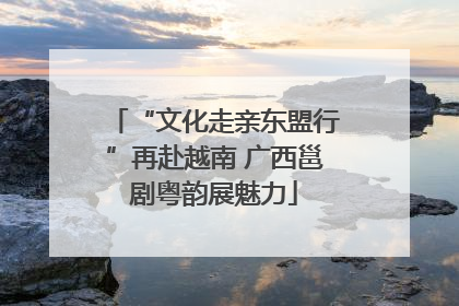 “文化走亲东盟行”再赴越南 广西邕剧粤韵展魅力