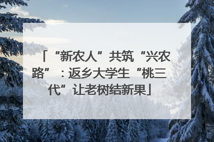 “新农人”共筑“兴农路”：返乡大学生“桃三代”让老树结新果