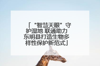 “智慧天眼”守护湿地 联通助力东明县打造生物多样性保护新范式
