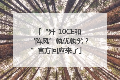 “歼-10CE和‘阵风’孰优孰劣？”官方回应来了