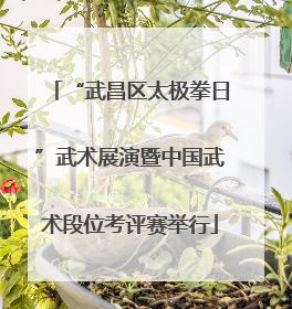 “武昌区太极拳日”武术展演暨中国武术段位考评赛举行