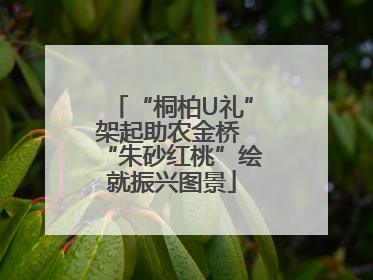 “桐柏U礼”架起助农金桥 “朱砂红桃”绘就振兴图景