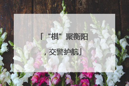 “棋”聚衡阳，交警护航