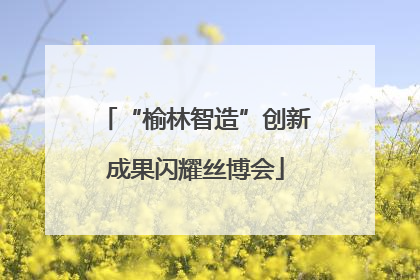 “榆林智造”创新成果闪耀丝博会