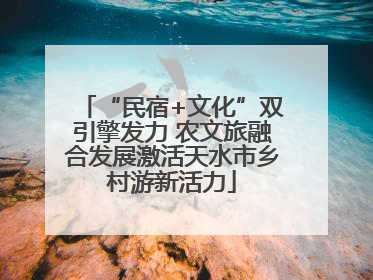 “民宿+文化”双引擎发力 农文旅融合发展激活天水市乡村游新活力
