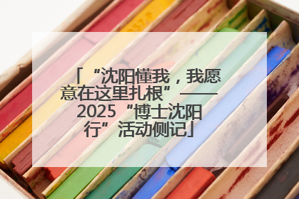 “沈阳懂我，我愿意在这里扎根”——2025“博士沈阳行”活动侧记