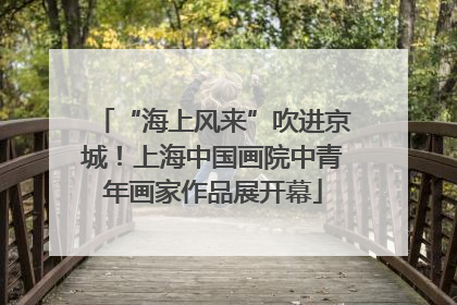 “海上风来”吹进京城！上海中国画院中青年画家作品展开幕