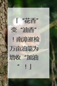 “花香”变“油香”！南漳巡检万亩油菜为增收“加油”！