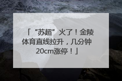 “苏超”火了！金陵体育直线拉升，几分钟20cm涨停！