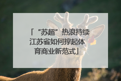 “苏超”热浪持续 江苏省如何撑起体育商业新范式