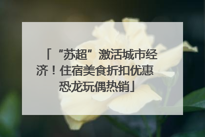 “苏超”激活城市经济！住宿美食折扣优惠 恐龙玩偶热销