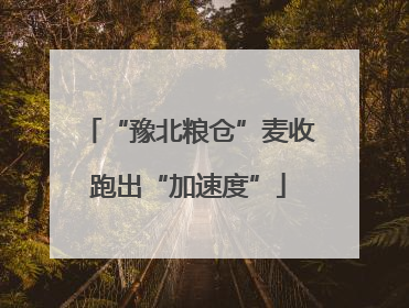 “豫北粮仓”麦收跑出“加速度”