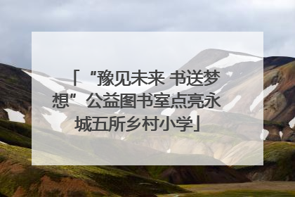“豫见未来 书送梦想”公益图书室点亮永城五所乡村小学