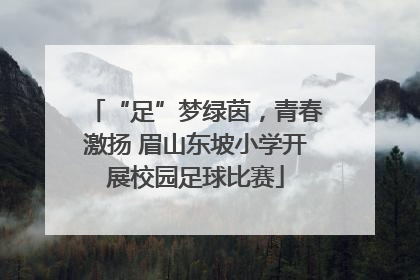 “足”梦绿茵，青春激扬 眉山东坡小学开展校园足球比赛