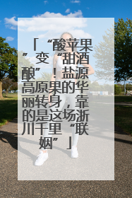“酸苹果”变“甜酒酿”！盐源高原果的华丽转身，靠的是这场浙川千里“联姻”