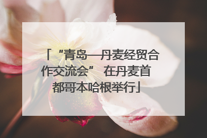 “青岛—丹麦经贸合作交流会” 在丹麦首都哥本哈根举行