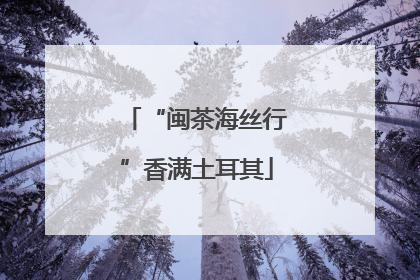 “闽茶海丝行”香满土耳其