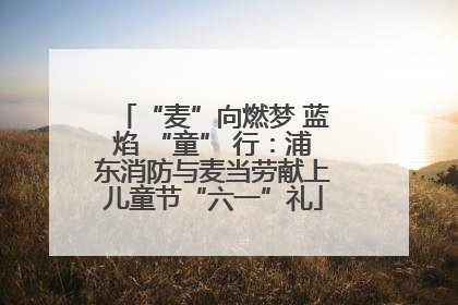 “麦”向燃梦 蓝焰 “童” 行：浦东消防与麦当劳献上儿童节“六一”礼