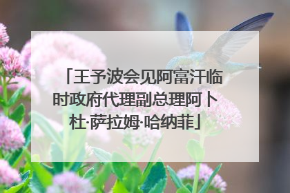 王予波会见阿富汗临时政府代理副总理阿卜杜·萨拉姆·哈纳菲
