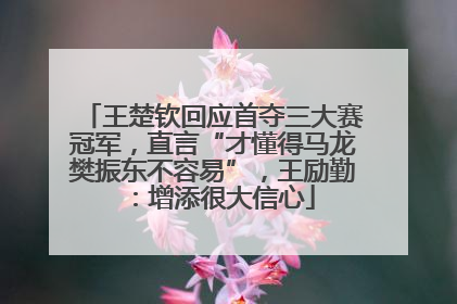 王楚钦回应首夺三大赛冠军，直言“才懂得马龙樊振东不容易”，王励勤：增添很大信心