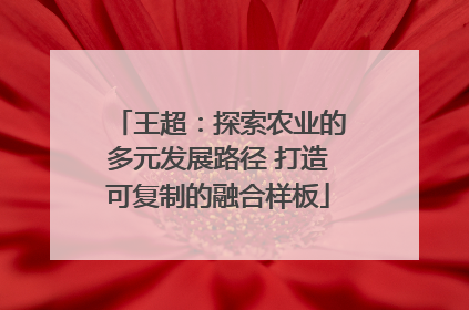 王超：探索农业的多元发展路径 打造可复制的融合样板