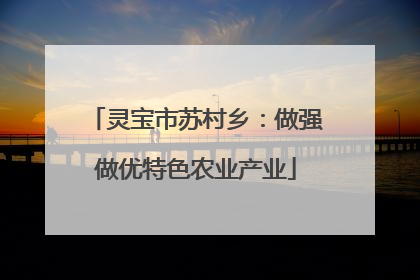 灵宝市苏村乡：做强做优特色农业产业